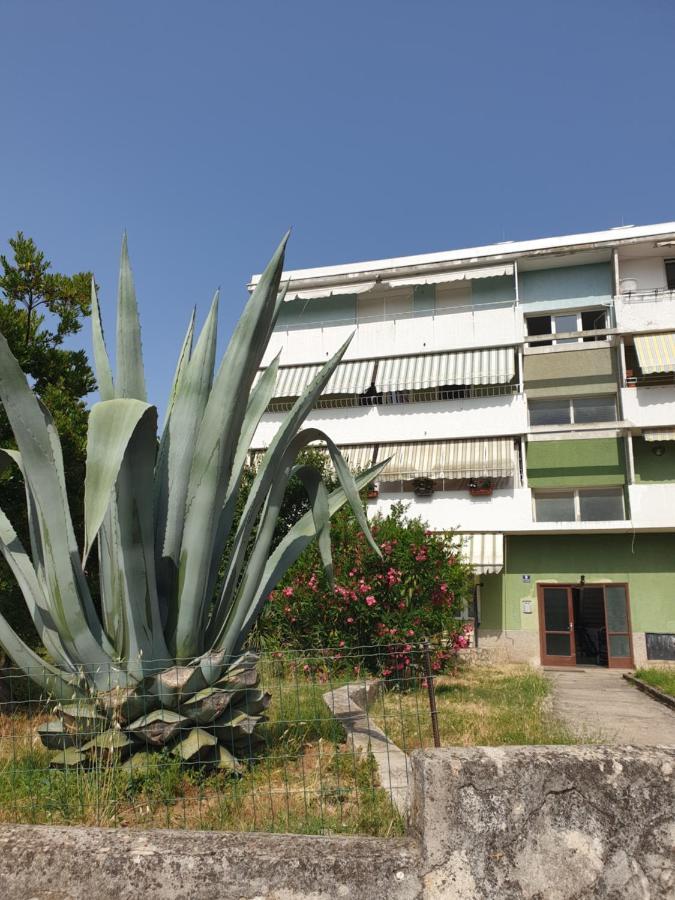 Apartment Maeistro By Privileggio Residence ロヴィニ エクステリア 写真